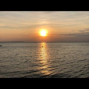 Meet your Posher, Phyllis